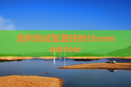 如何测试配置好的Chromedriver