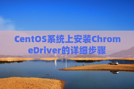 CentOS系统上安装ChromeDriver的详细步骤 CentOS系统上安装ChromeDriver的详细步骤