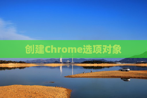 创建Chrome选项对象 创建Chrome选项对象