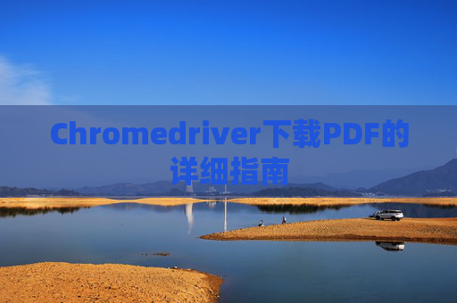 Chromedriver下载PDF的详细指南 Chromedriver下载PDF的详细指南